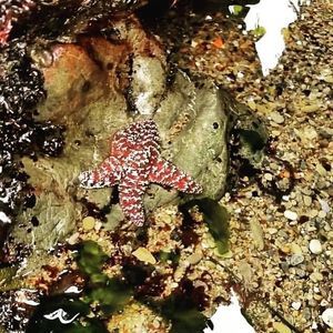 Meet your Posher, J'beth